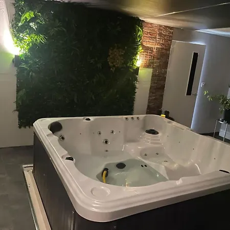 Apartment The Exclusive Jacuzzi *
